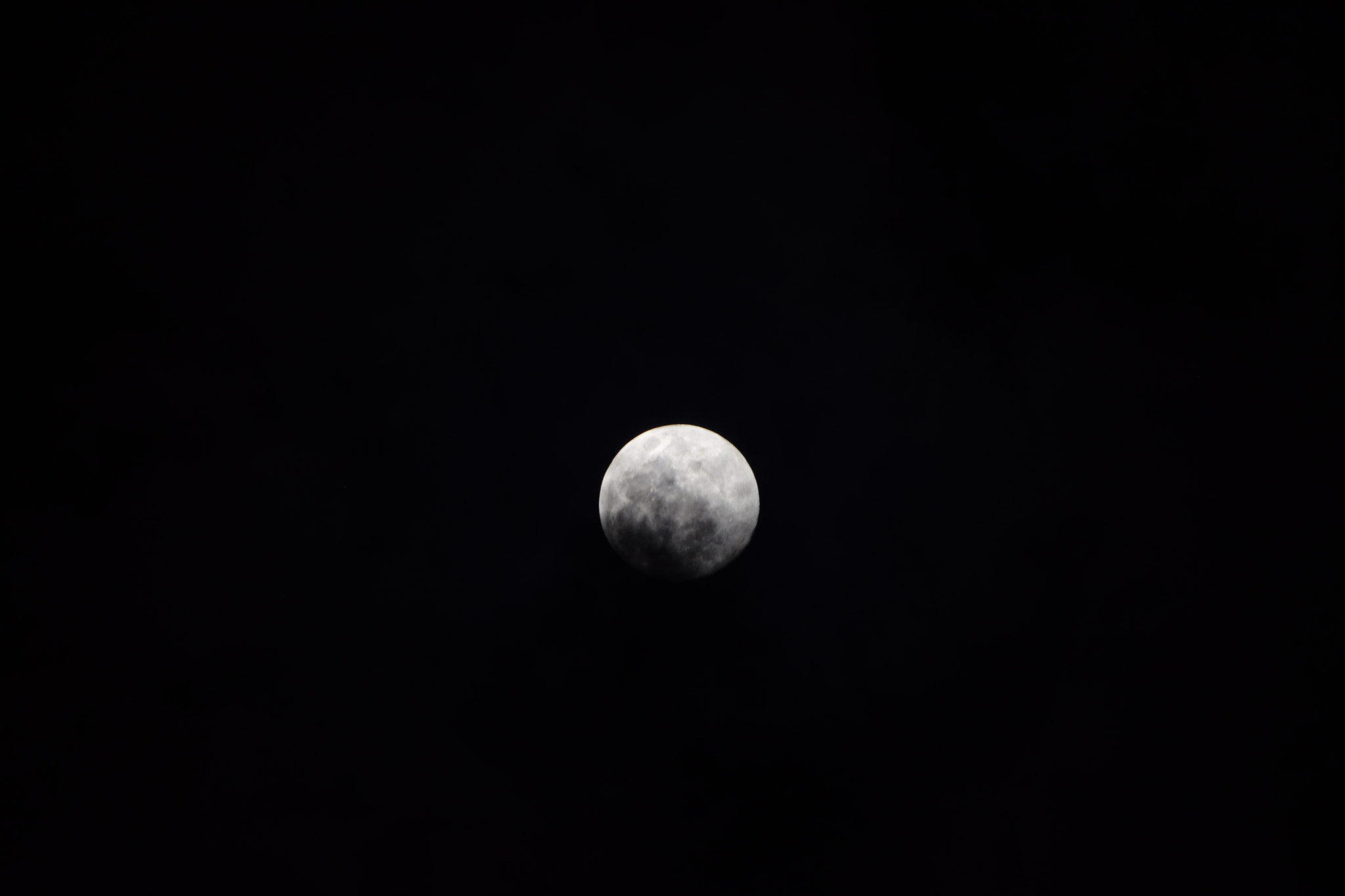 Nikon D5300 sample photo. Moon photography