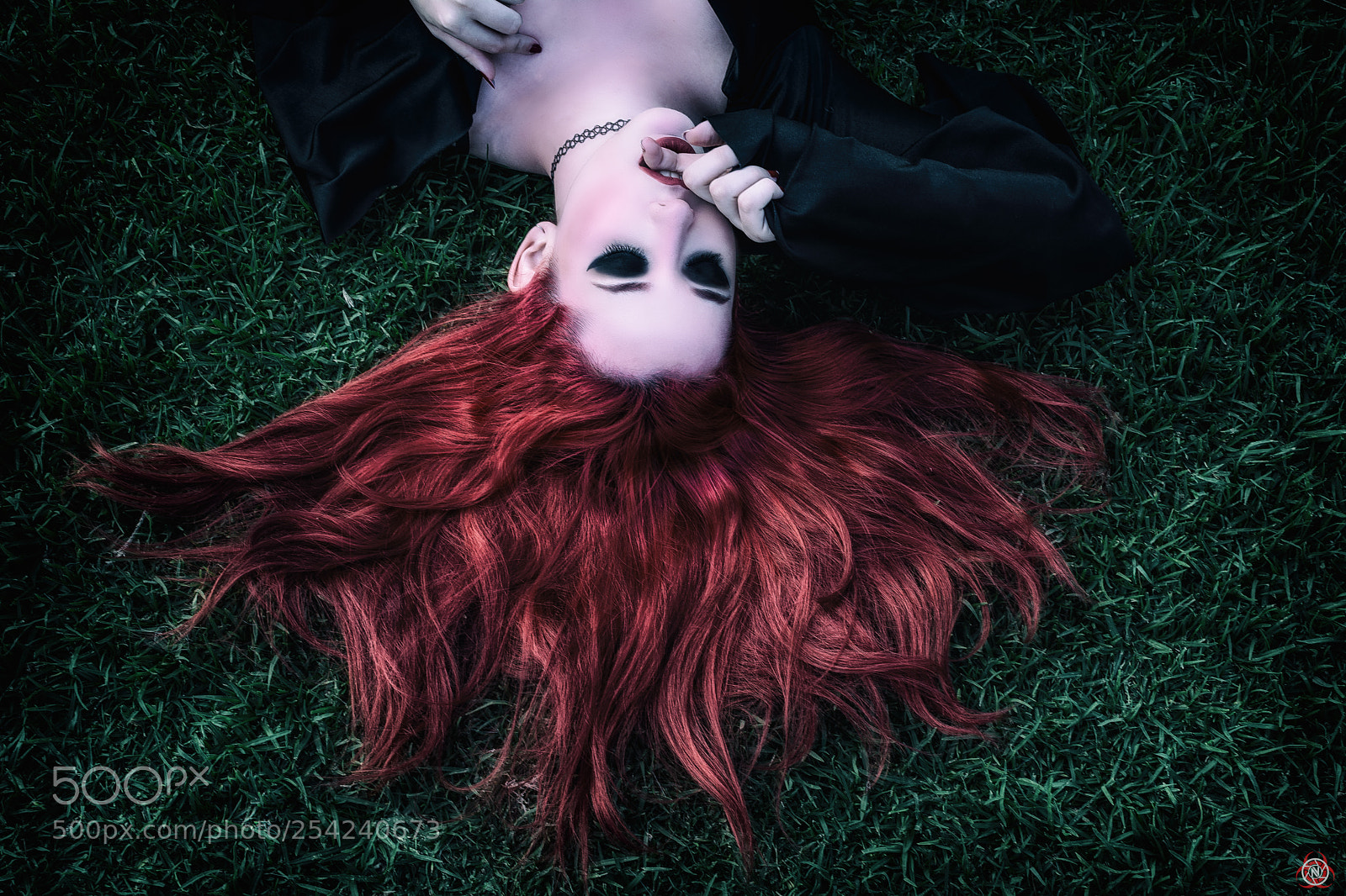 Nikon D7100 sample photo. Red dreams photography