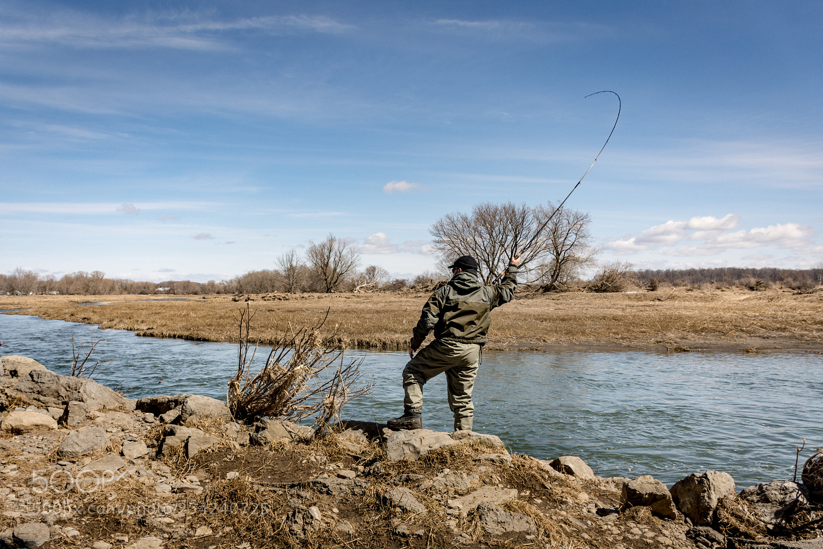 Nikon D7200 sample photo. Fish on photography