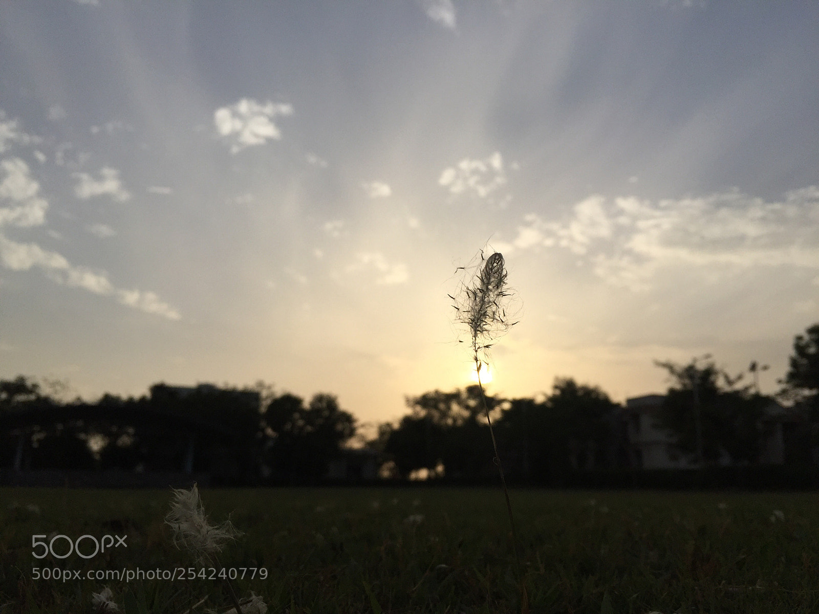 Apple iPhone 6 sample photo. Sunset  photography