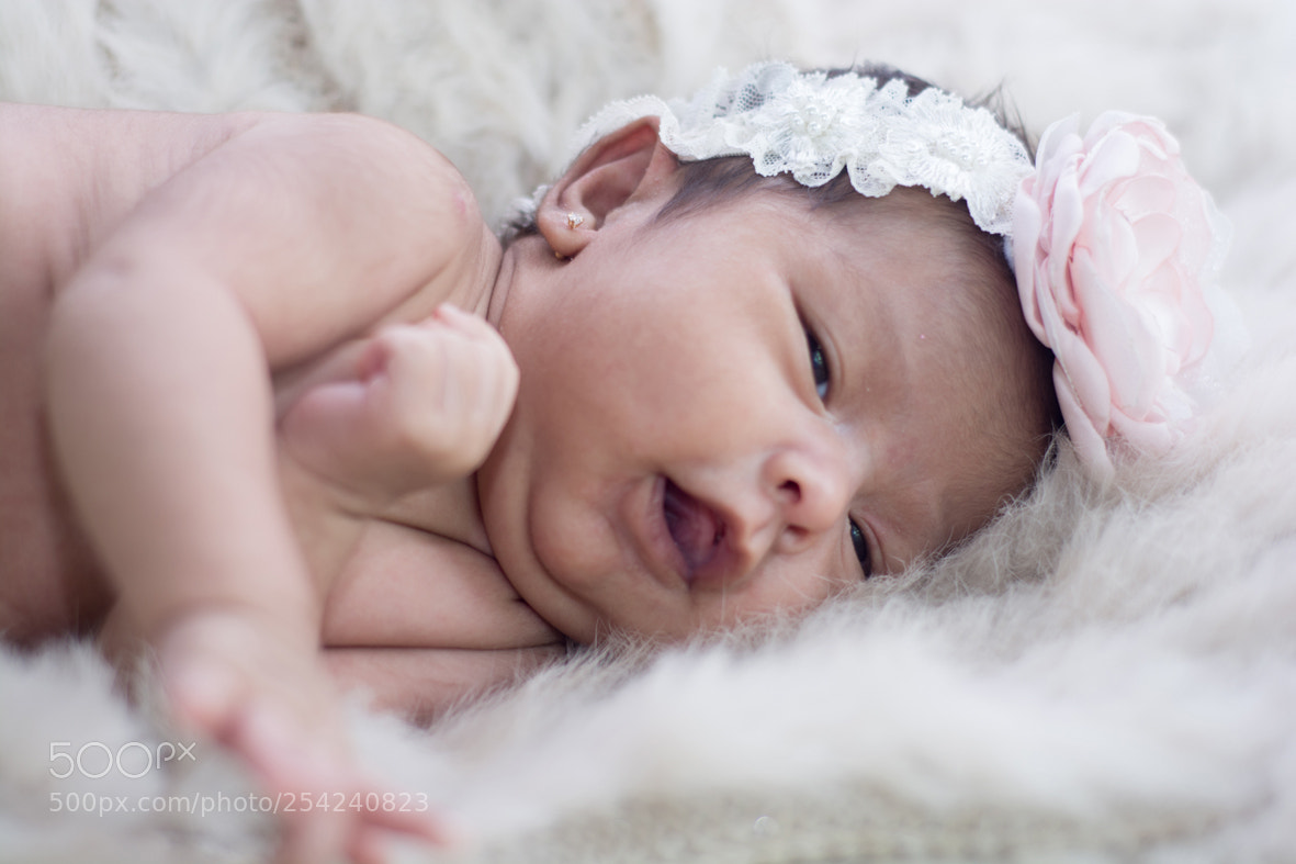 Nikon D5200 sample photo. Victoria photography