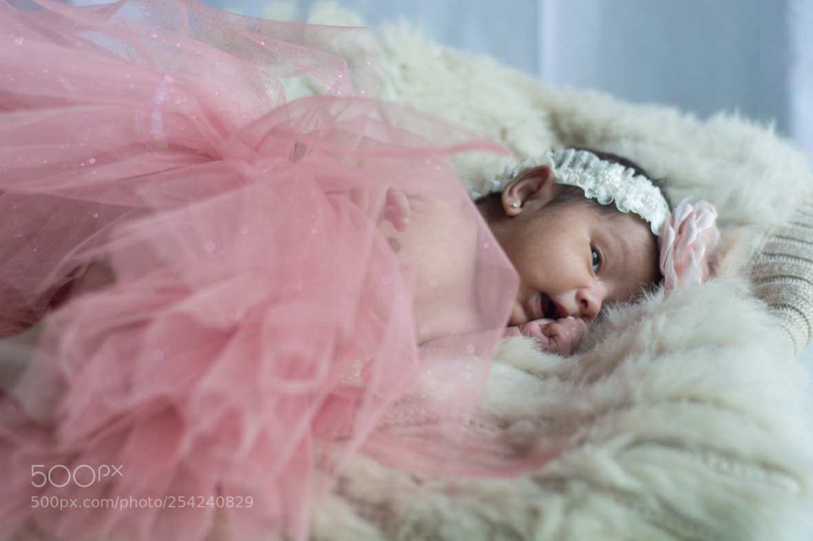 Nikon D5200 sample photo. Victoria photography
