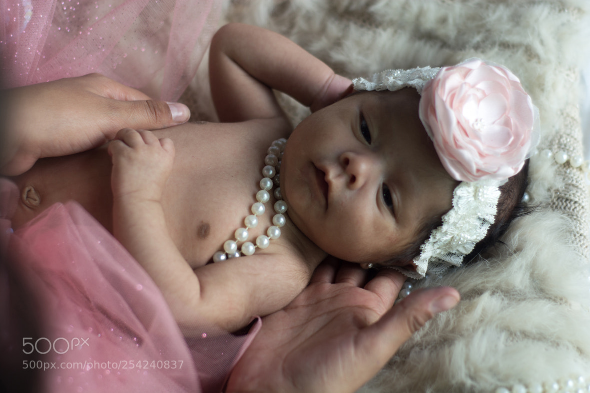 Nikon D5200 sample photo. Victoria photography