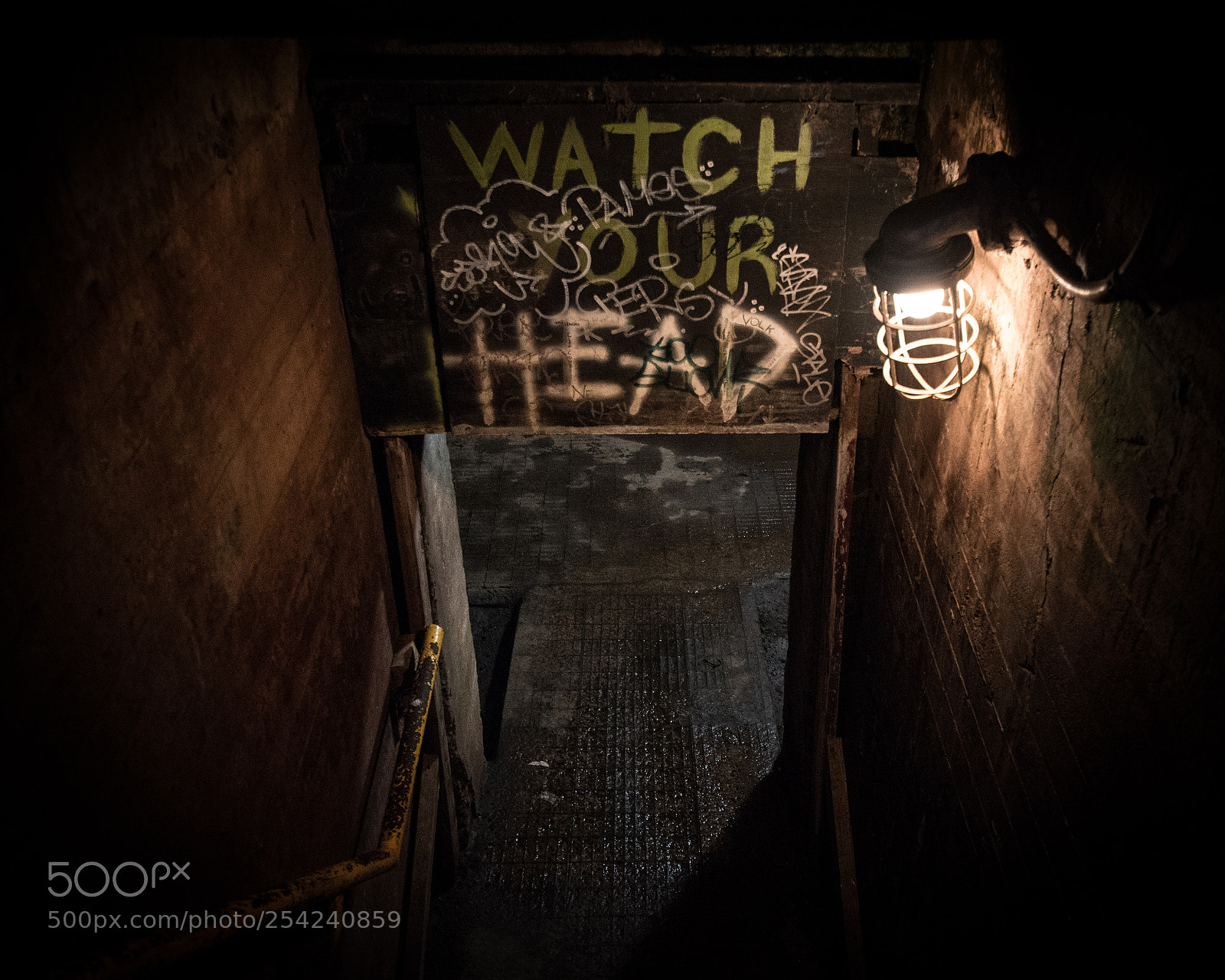 Nikon D5500 sample photo. Watch your head photography