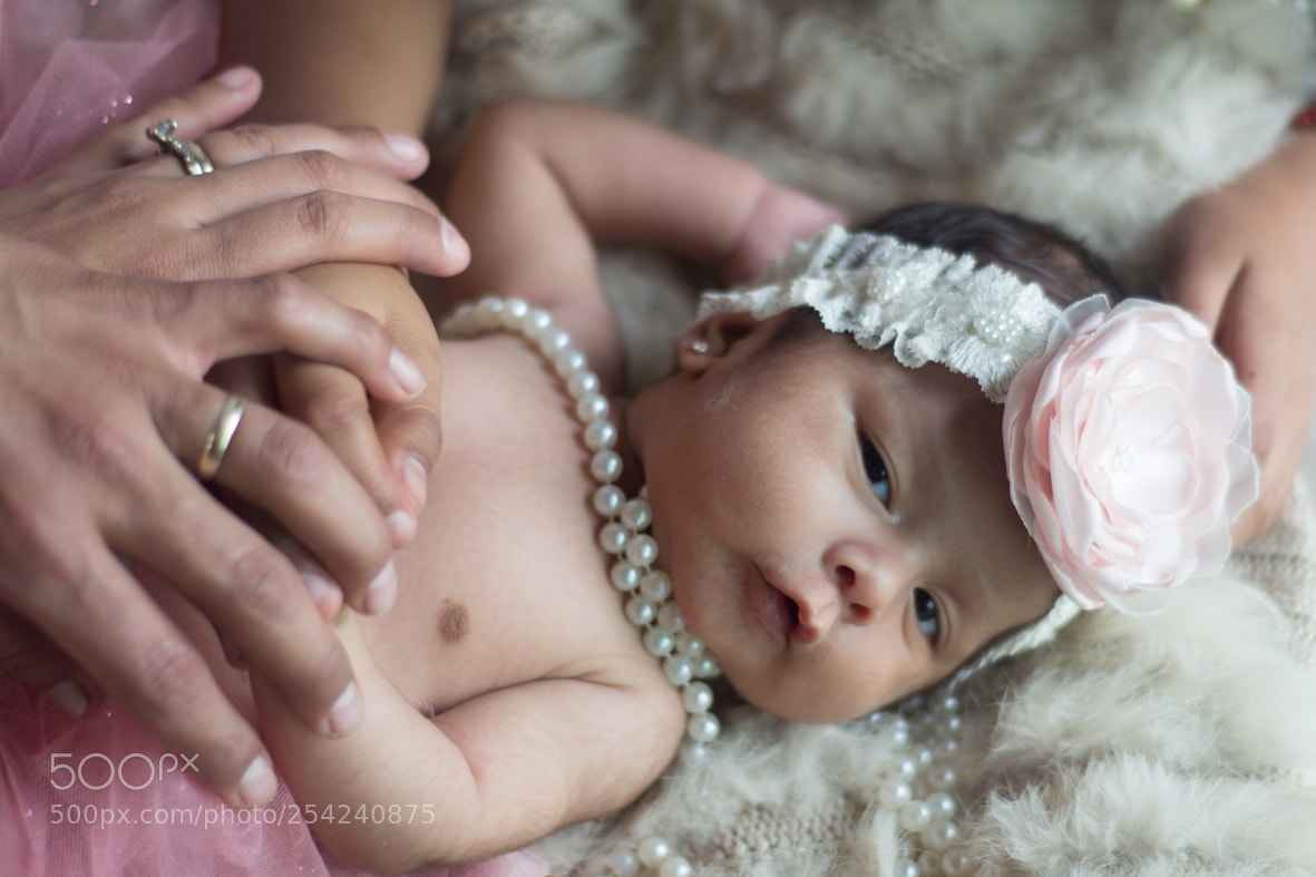 Nikon D5200 sample photo. Victoria photography