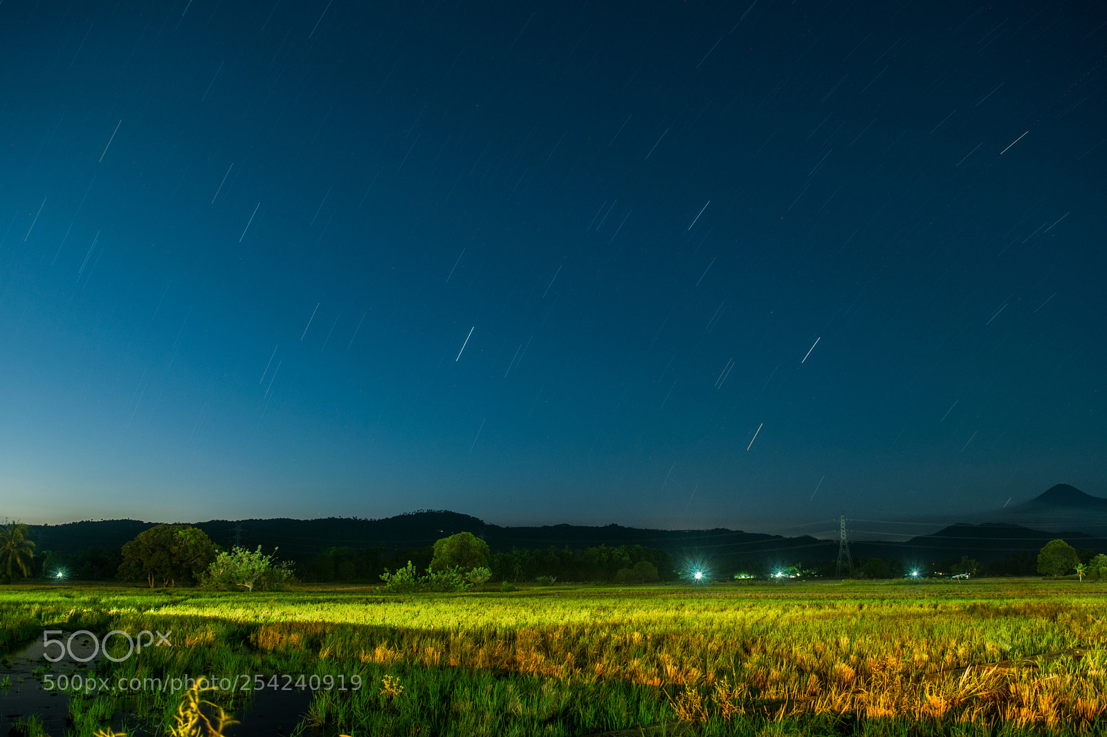 Nikon D5300 sample photo. Star-filled field photography