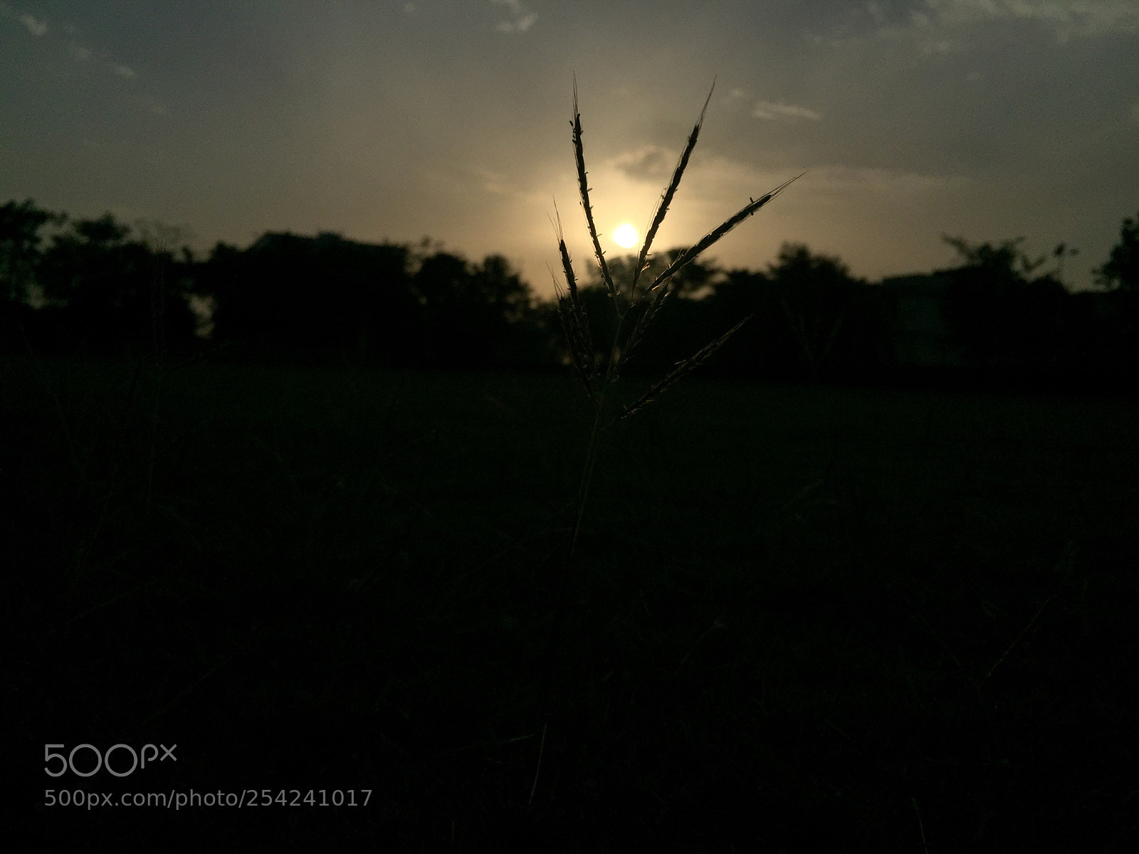 Apple iPhone 6 sample photo. Sunset when sun hit photography