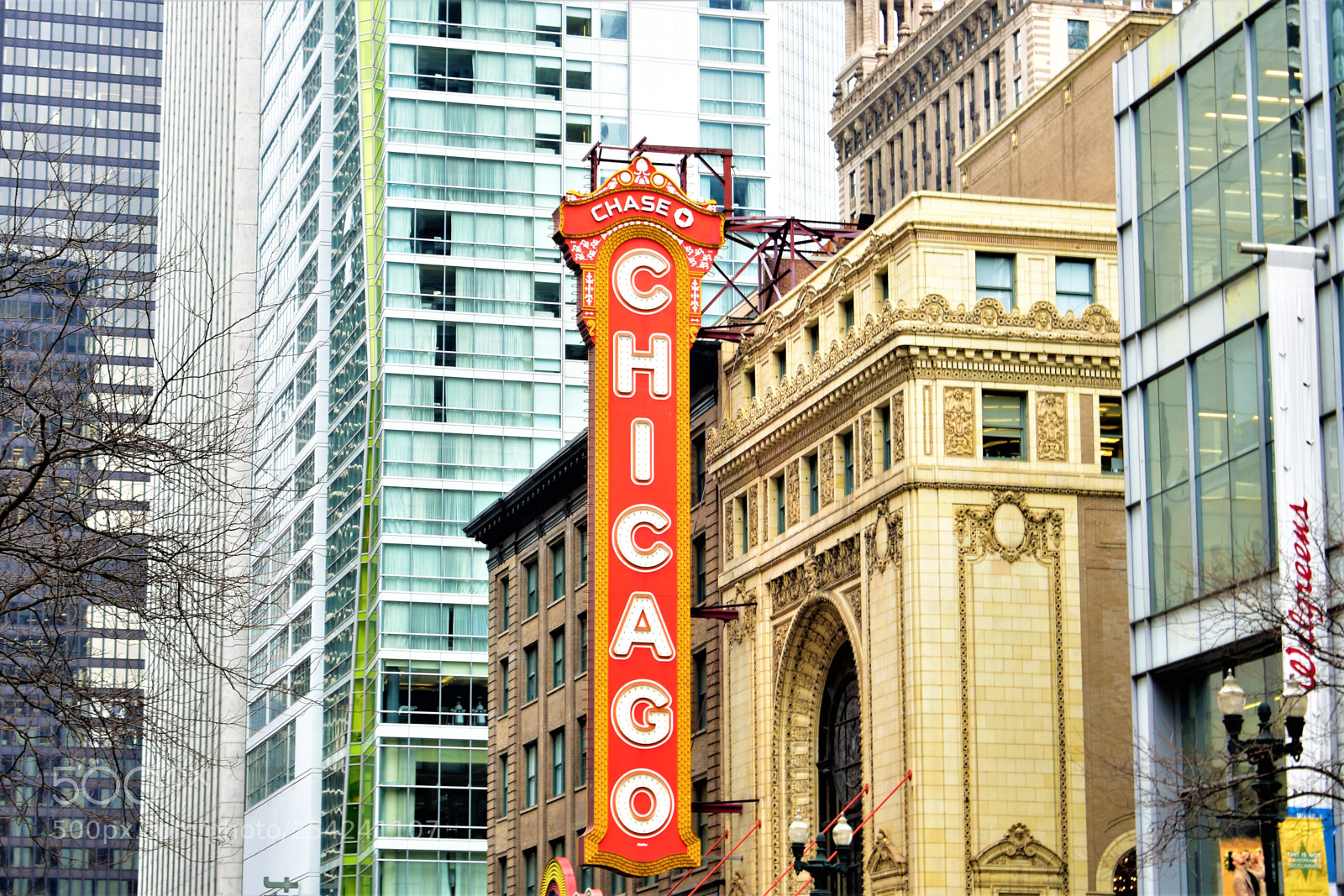 Nikon D5500 sample photo. Chicago photography