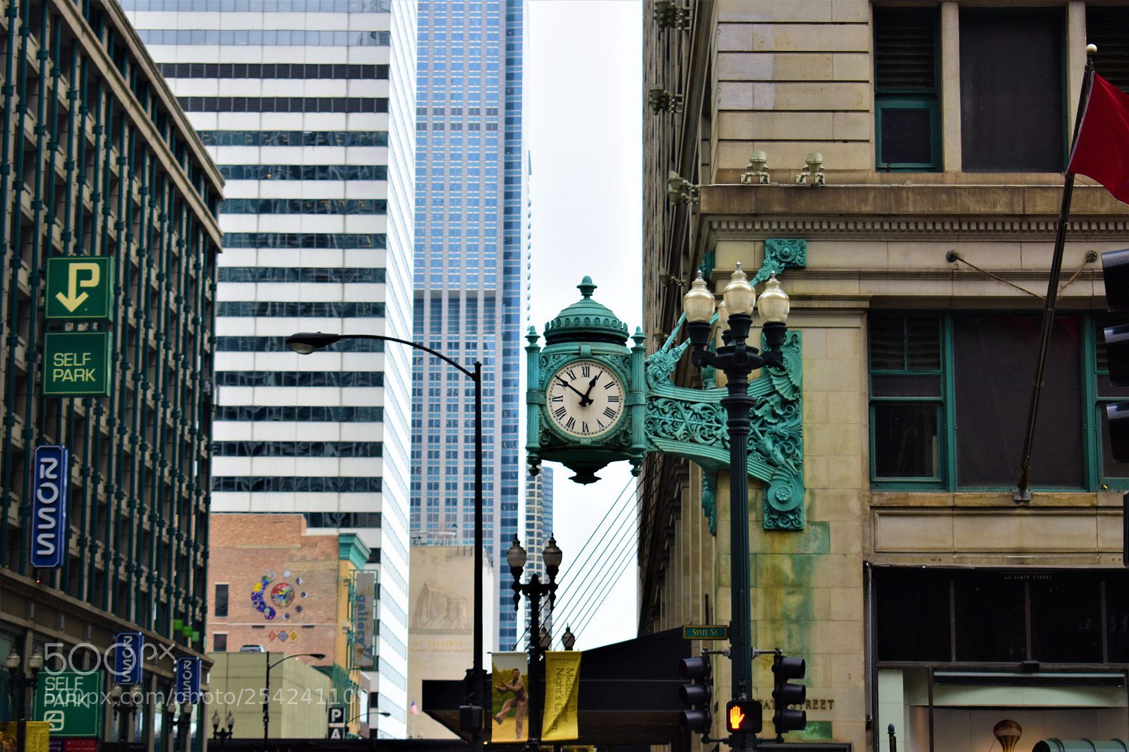 Nikon D5500 sample photo. Chicago photography