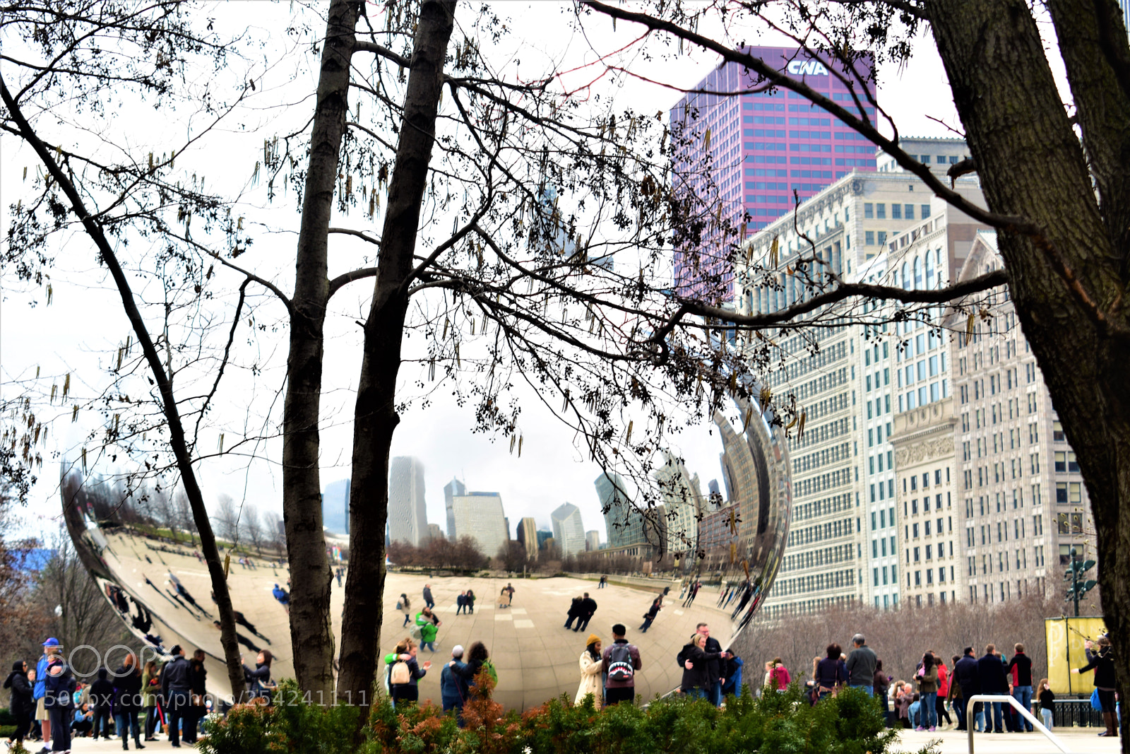 Nikon D5500 sample photo. Chicago photography