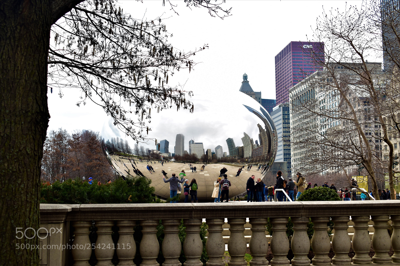 Nikon D5500 sample photo. Chicago photography