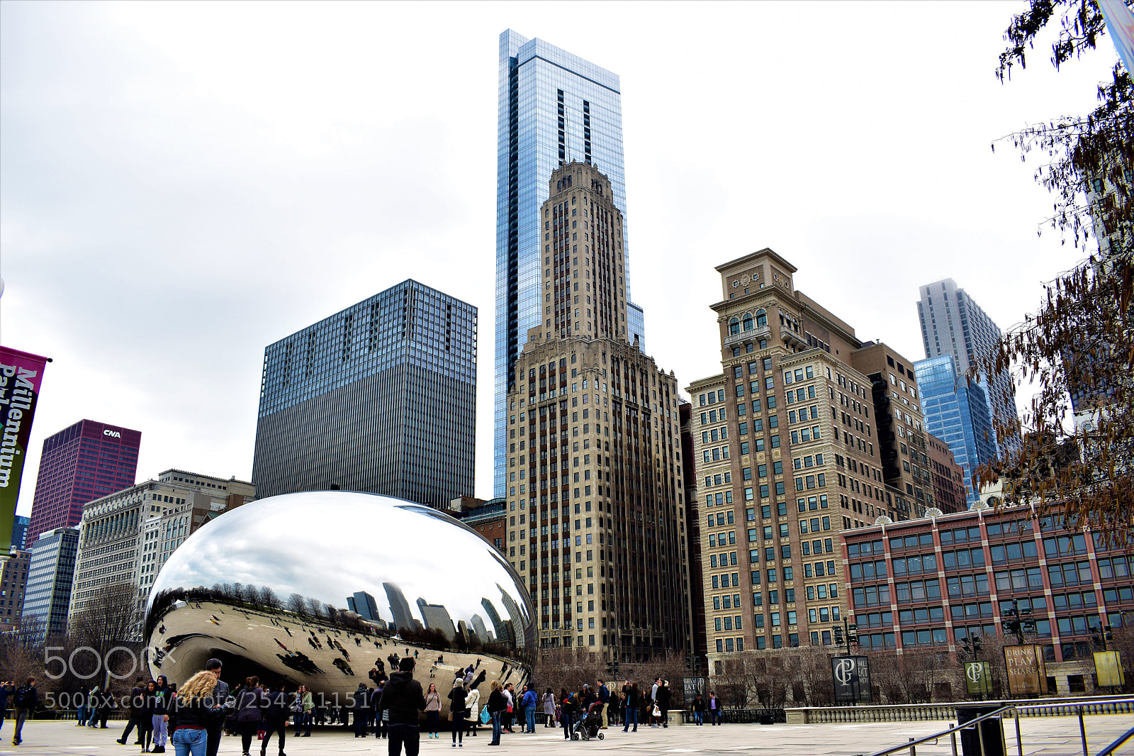 Nikon D5500 sample photo. Chicago photography