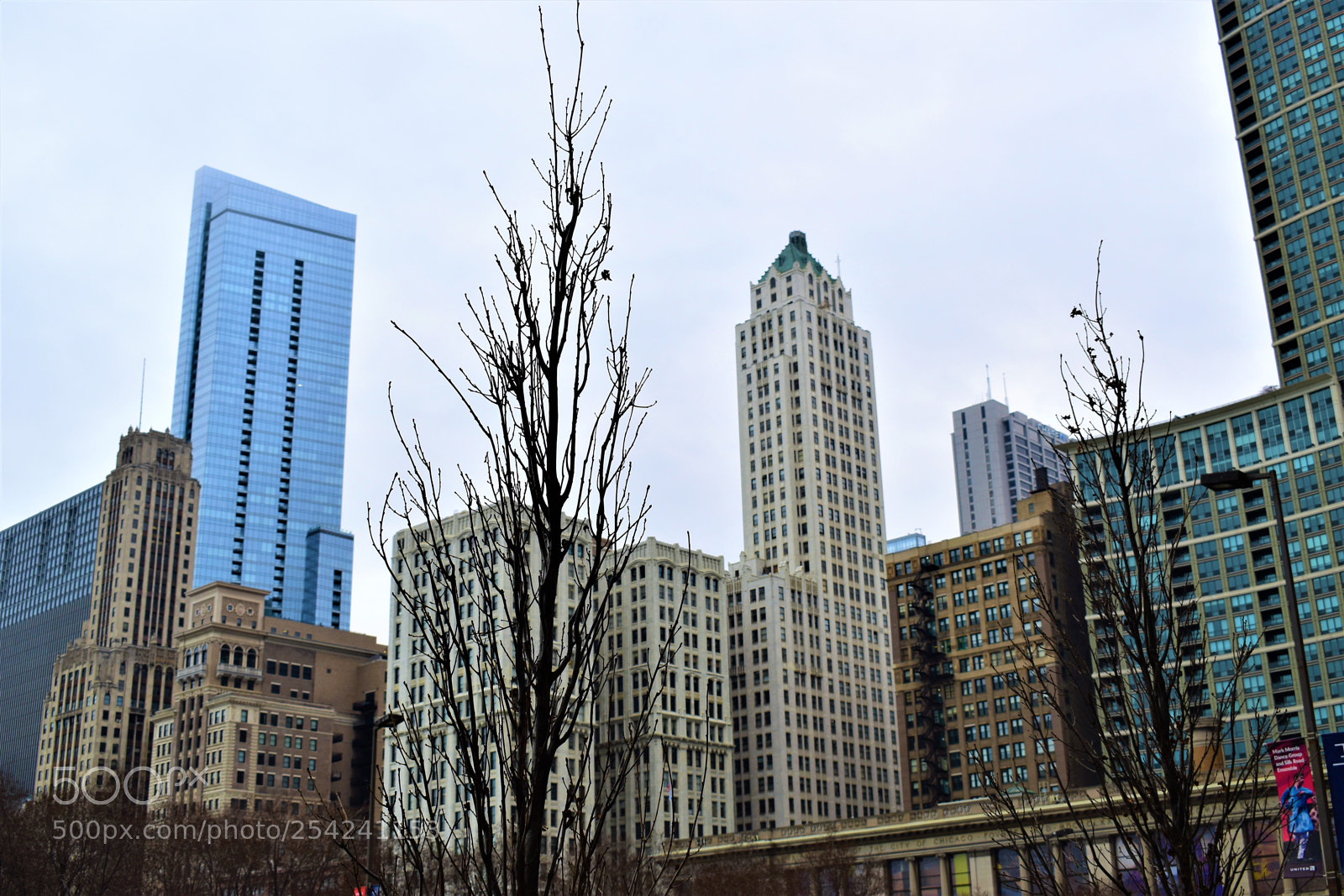 Nikon D5500 sample photo. Chicago photography