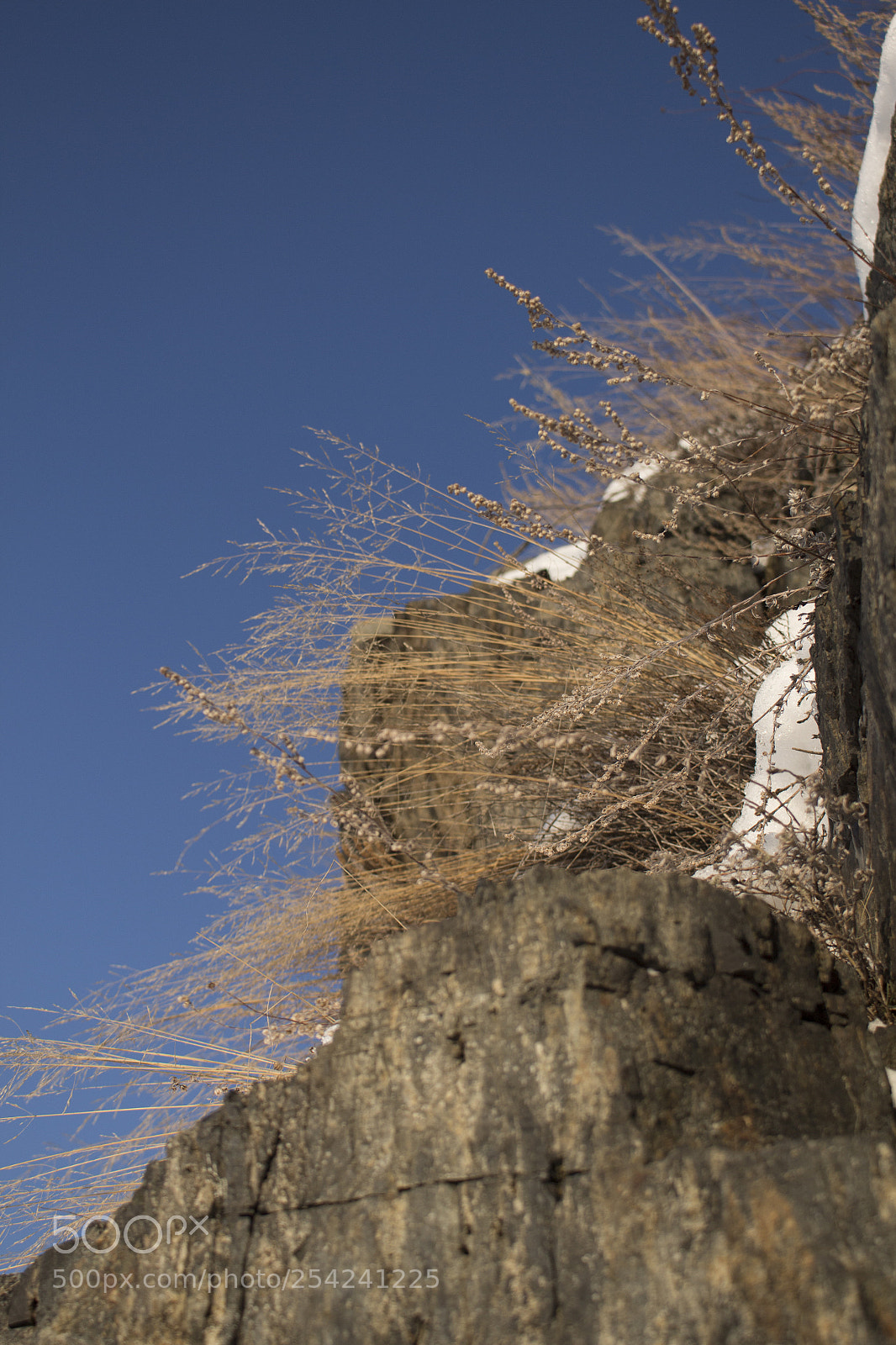 Canon EOS 650D (EOS Rebel T4i / EOS Kiss X6i) sample photo. Winter rocks photography