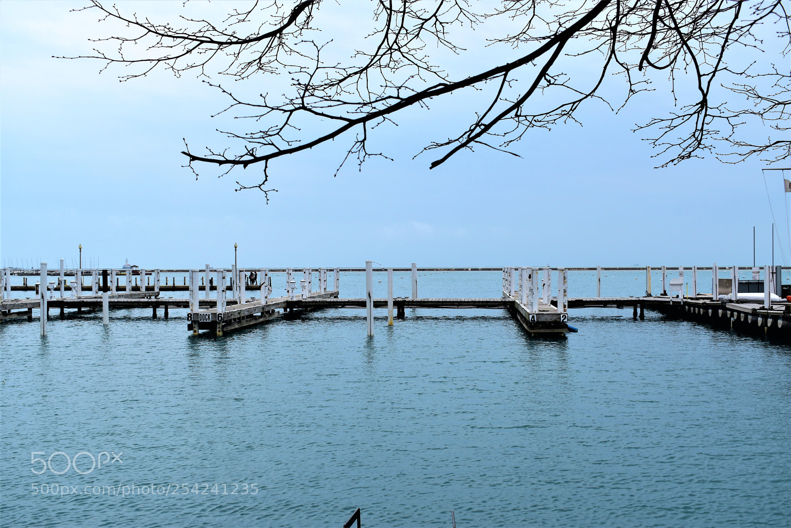 Nikon D5500 sample photo. Chicago photography