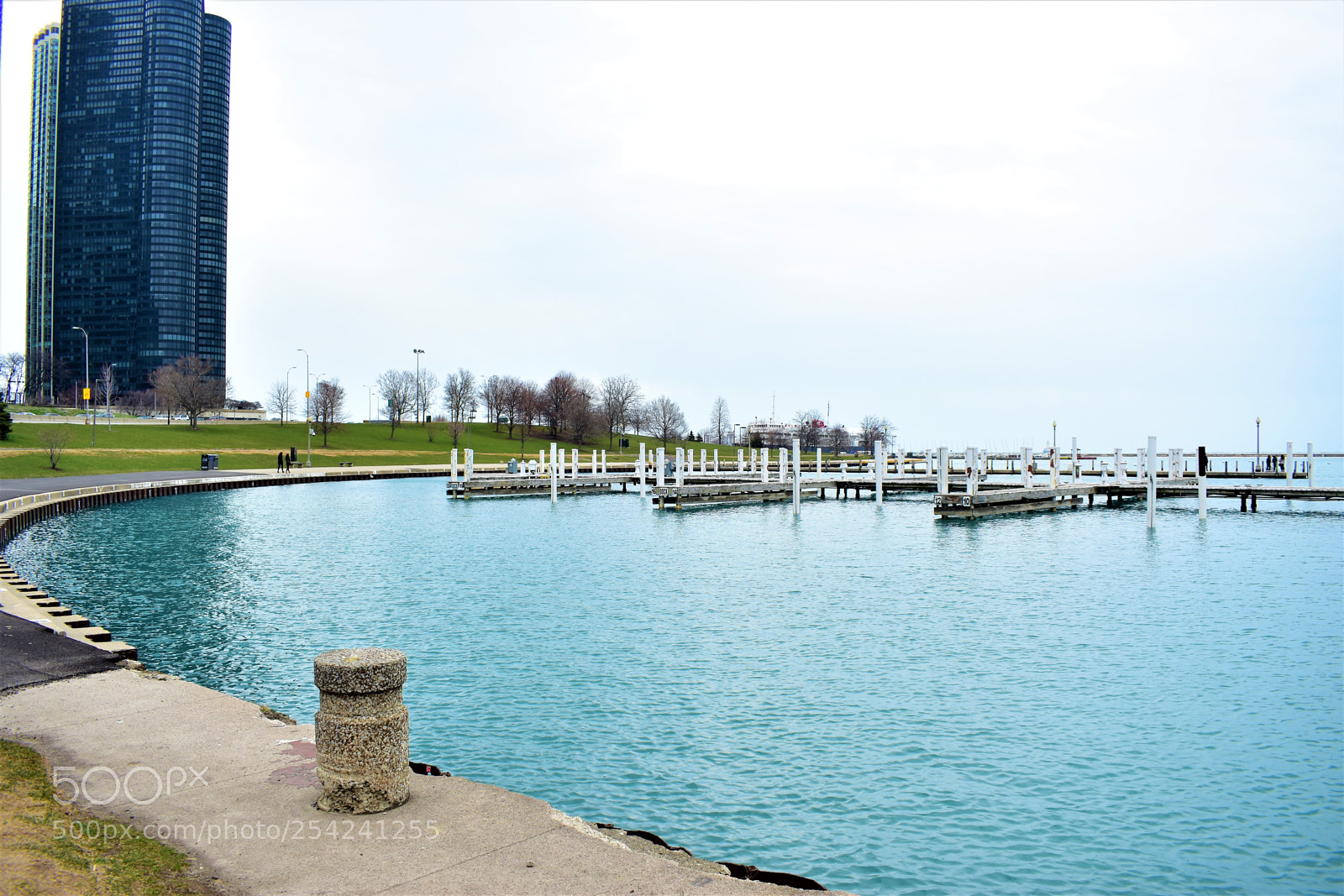 Nikon D5500 sample photo. Chicago photography