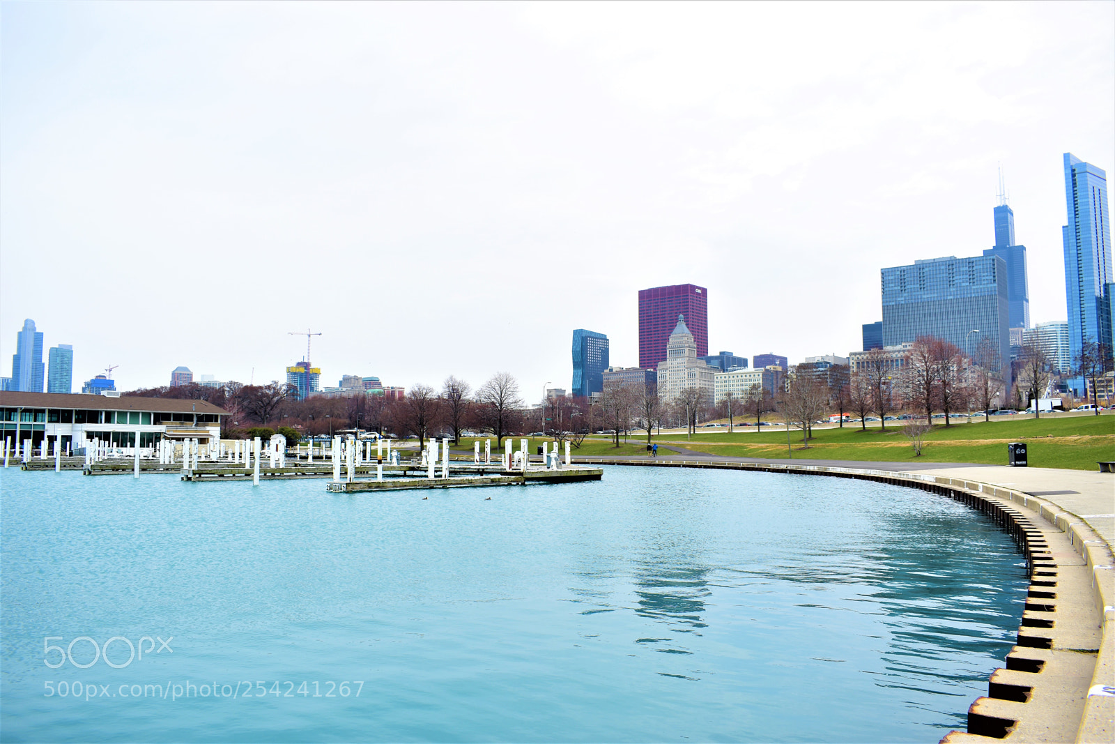 Nikon D5500 sample photo. Chicago photography