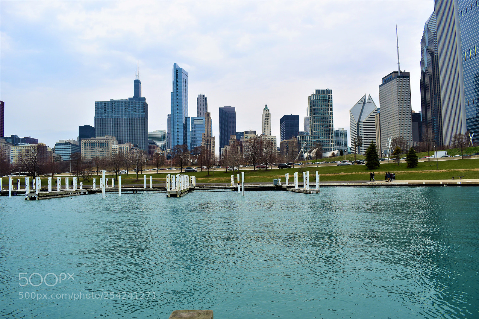 Nikon D5500 sample photo. Chicago photography