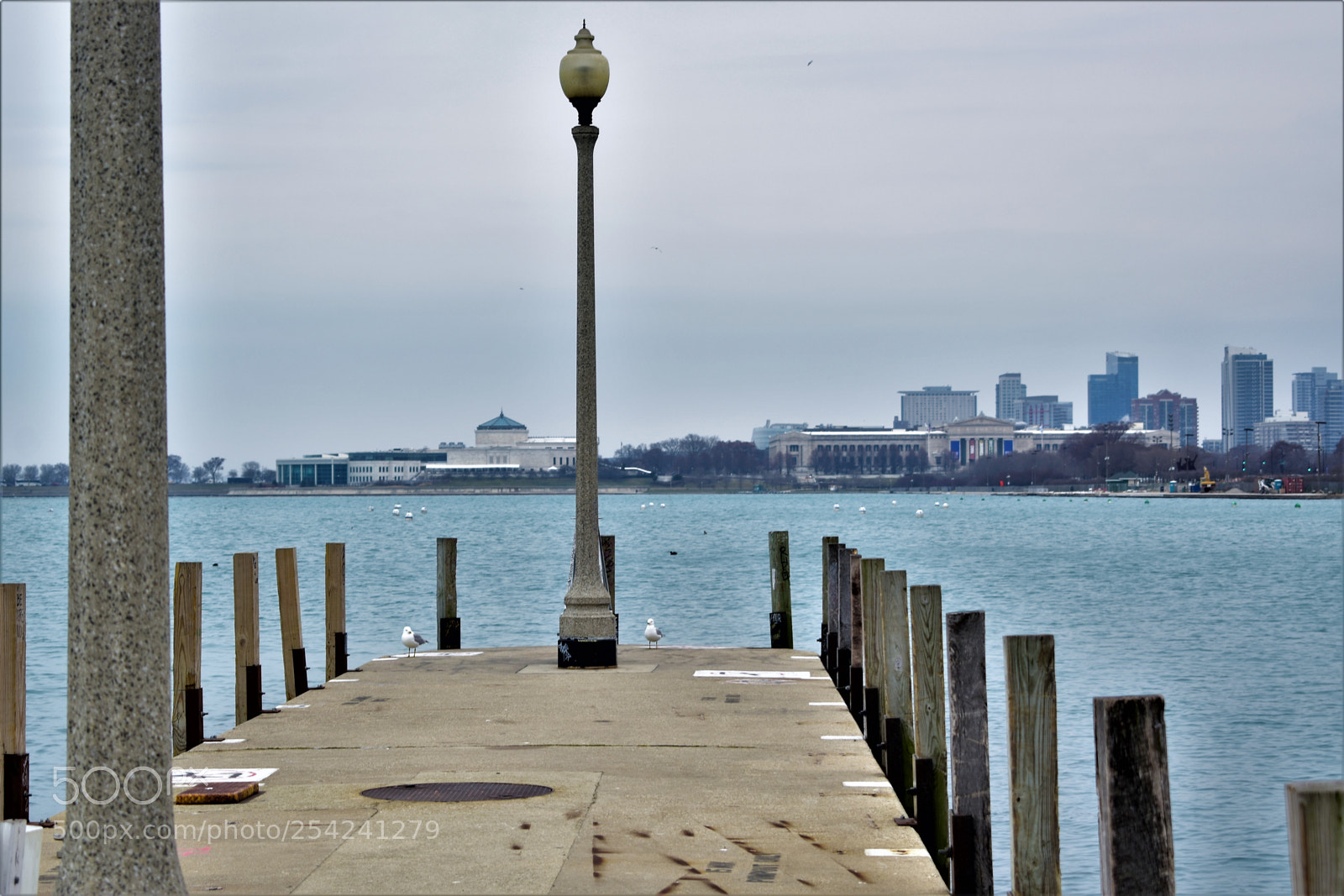 Nikon D5500 sample photo. Chicago photography