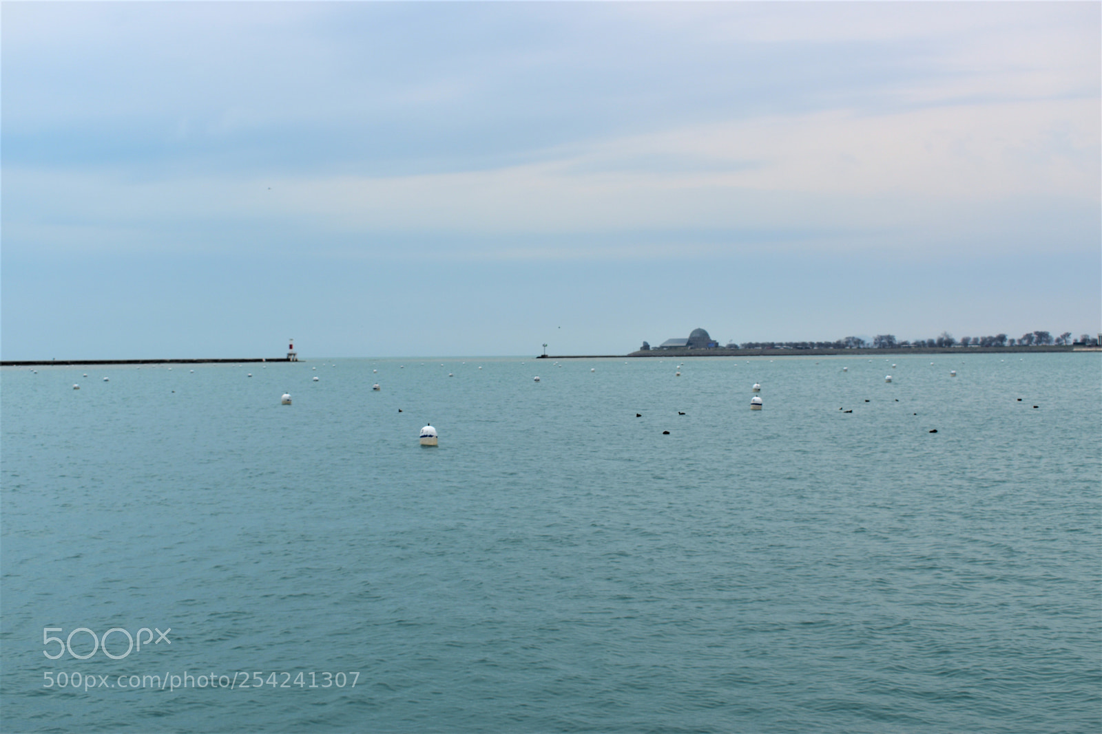 Nikon D5500 sample photo. Chicago photography