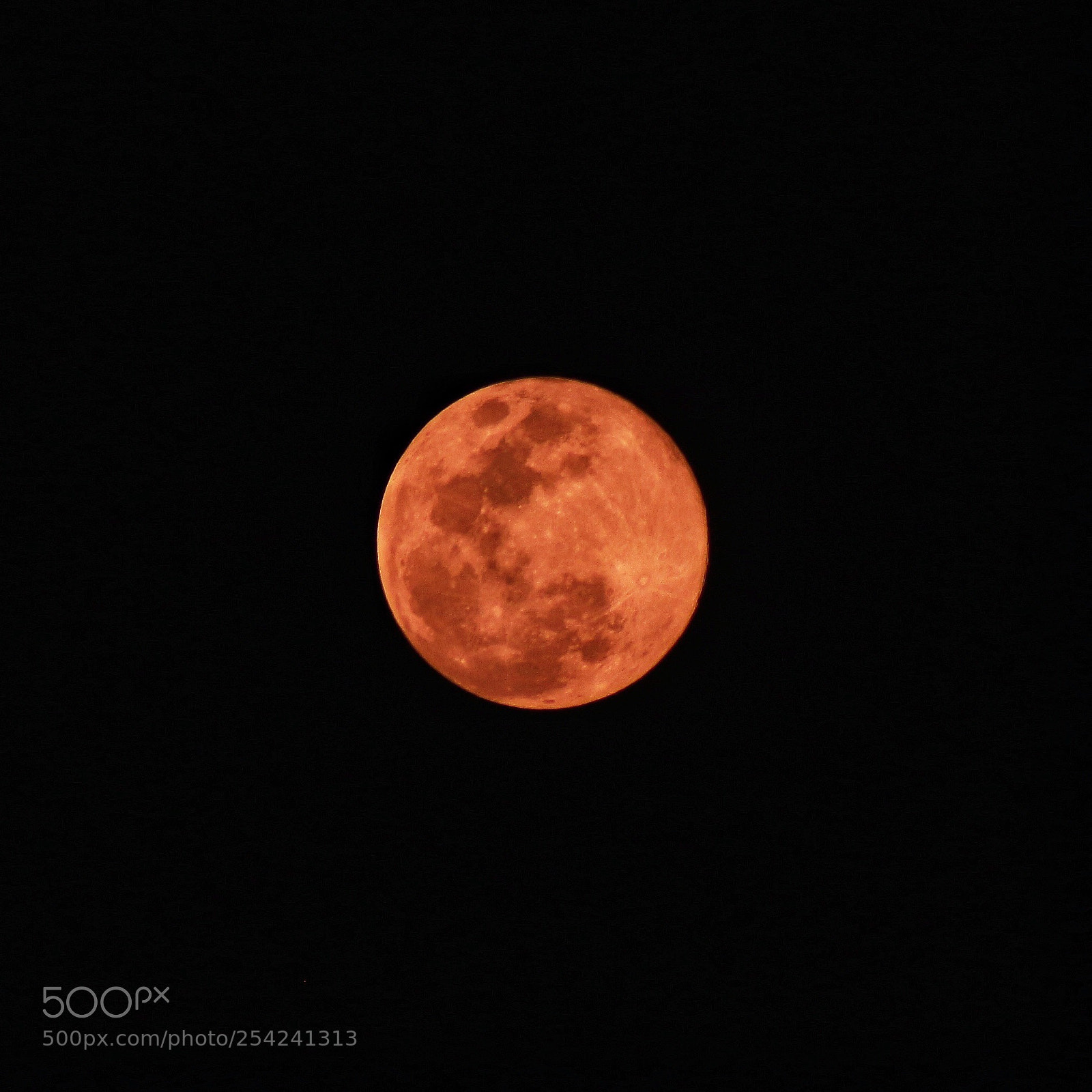 Canon EOS 700D (EOS Rebel T5i / EOS Kiss X7i) sample photo. Blue moon or super photography