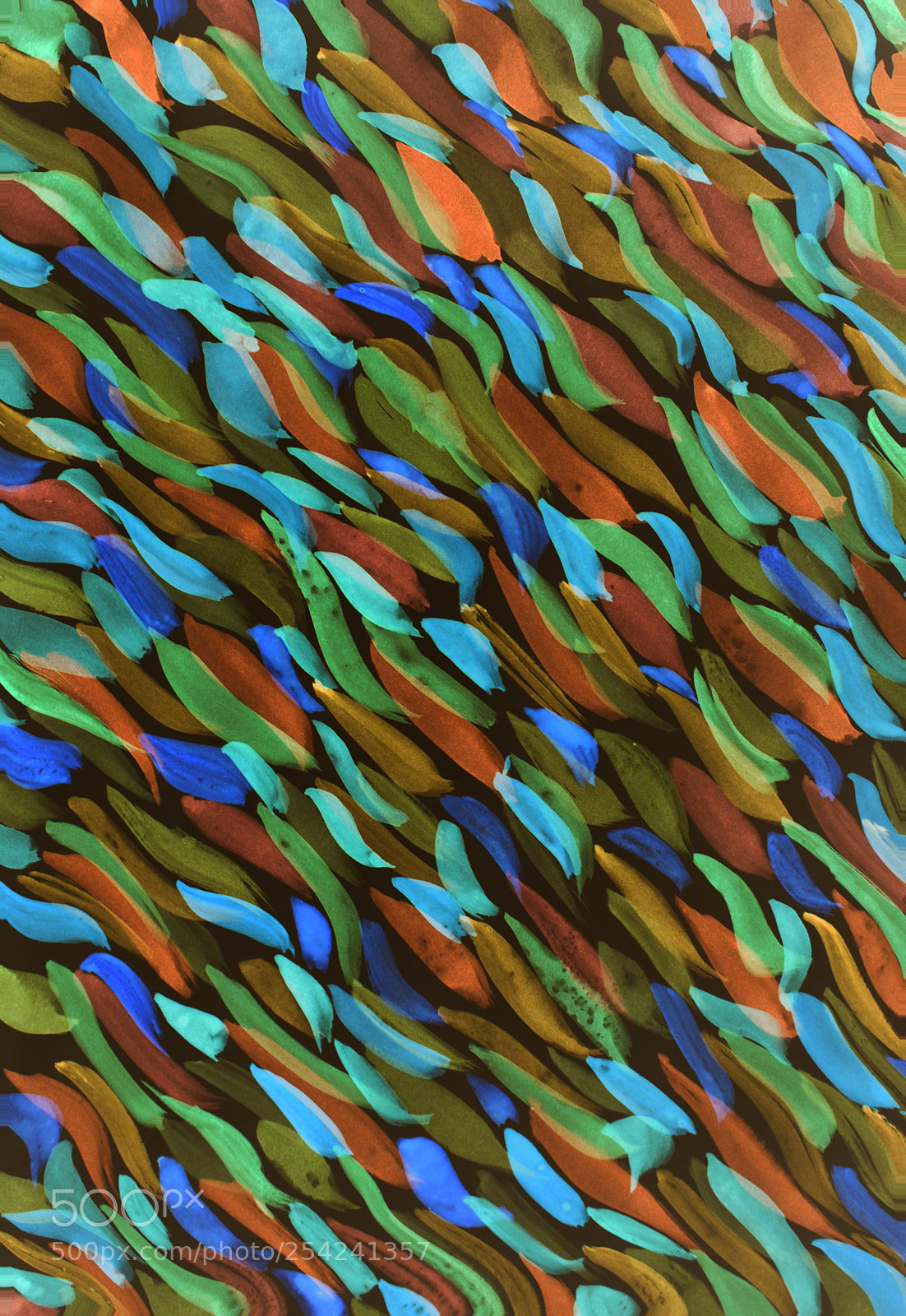 Canon EOS 650D (EOS Rebel T4i / EOS Kiss X6i) sample photo. Abstract pattern photography