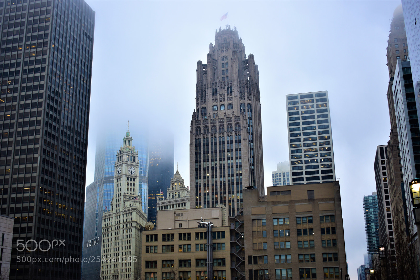 Nikon D5500 sample photo. Chicago photography