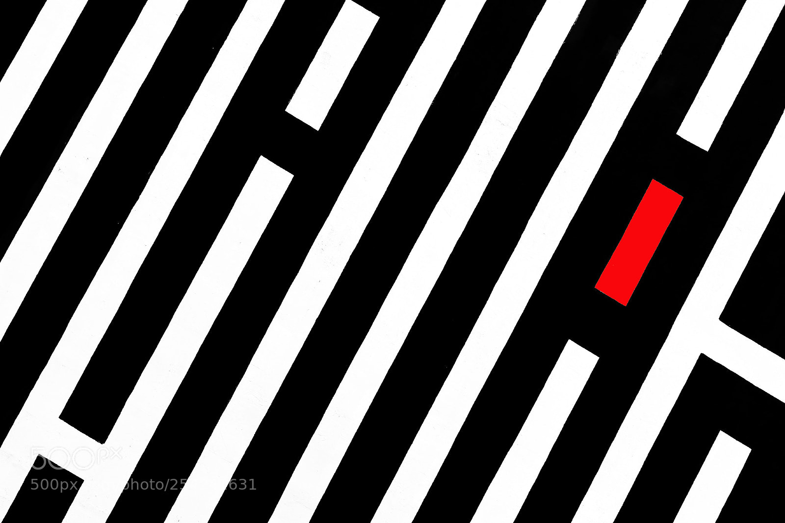 Canon EOS 7D Mark II sample photo. Black stripes photography
