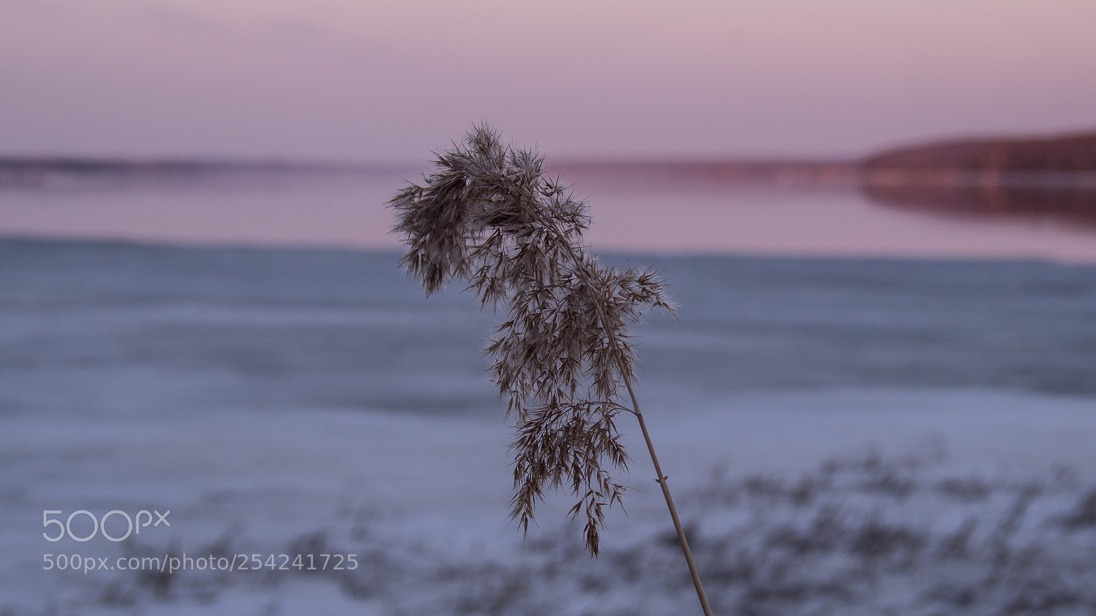 Sony SLT-A37 sample photo. берег photography