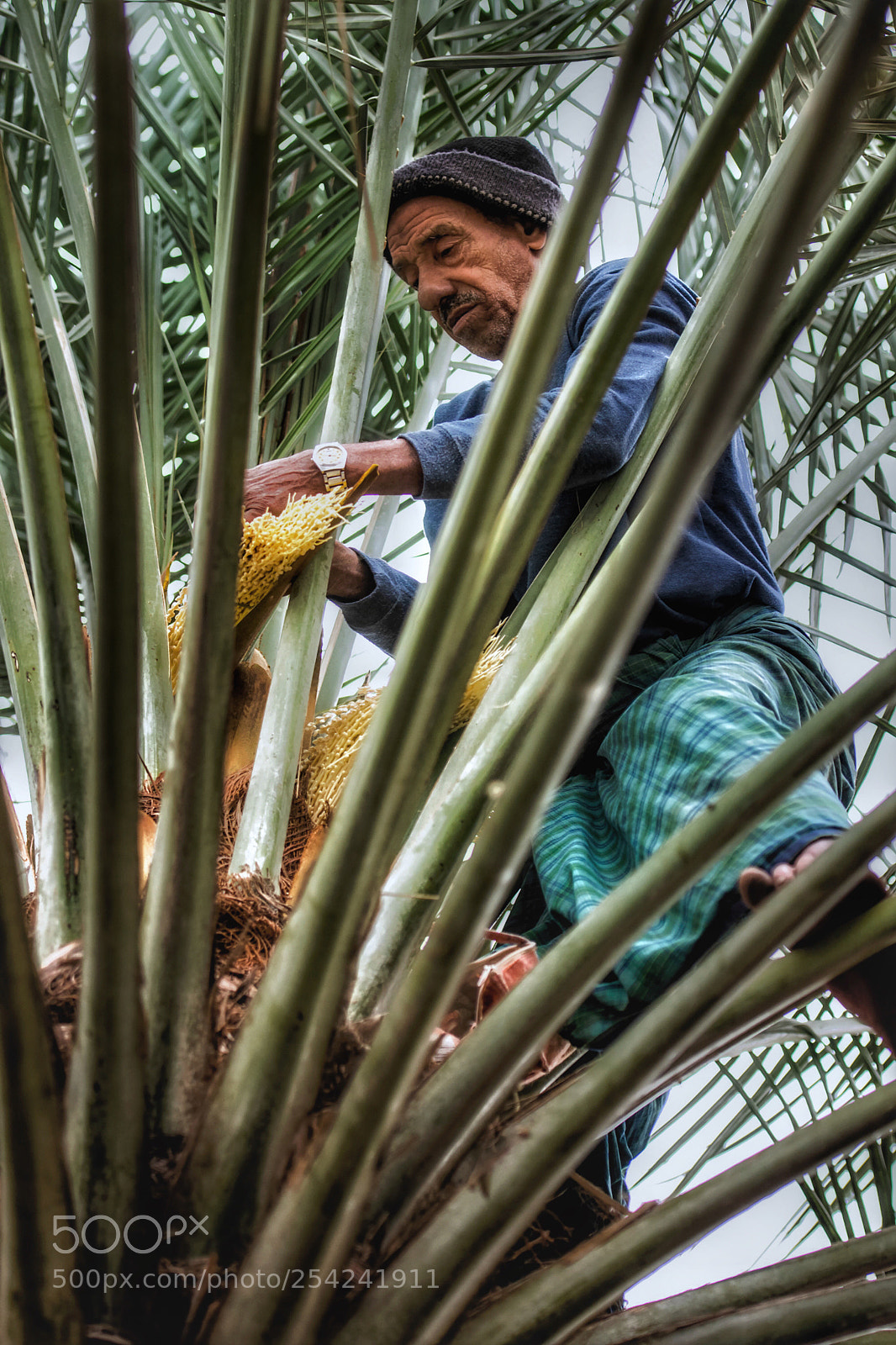 Nikon D7200 sample photo. Farmer 2 photography