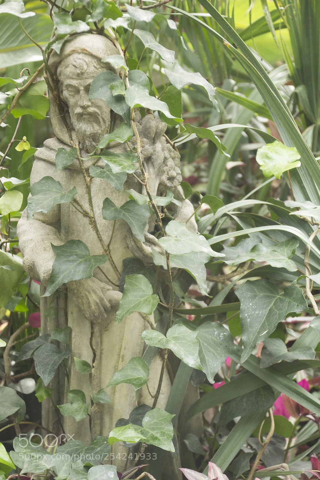 Canon EOS 1200D (EOS Rebel T5 / EOS Kiss X70 / EOS Hi) sample photo. Deadly overgrowth. photography