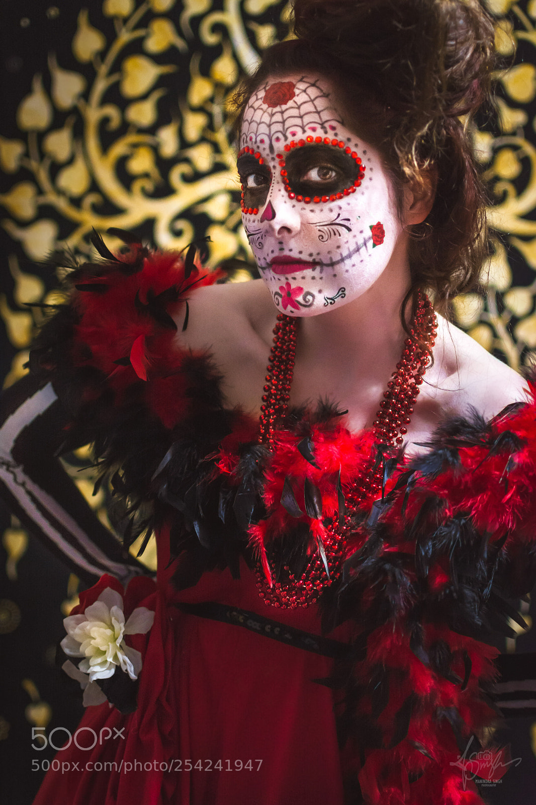 Nikon D7100 sample photo. Msk photography