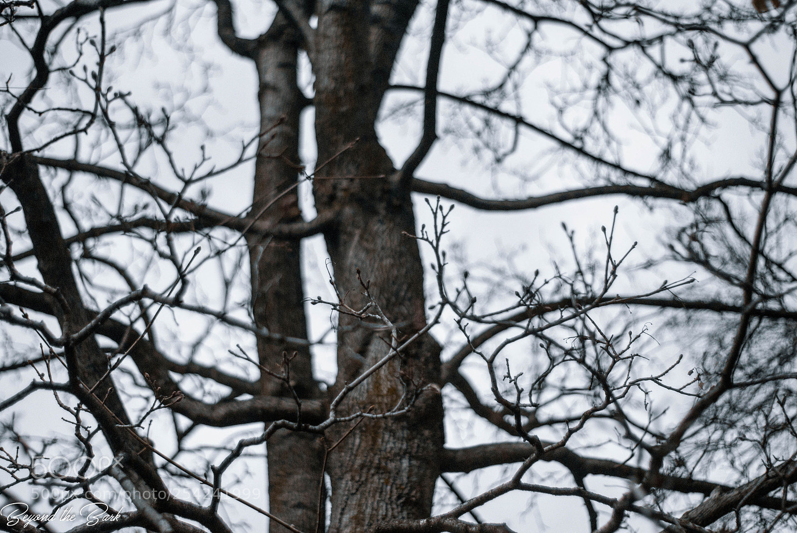 Nikon D3000 sample photo. Polson photography