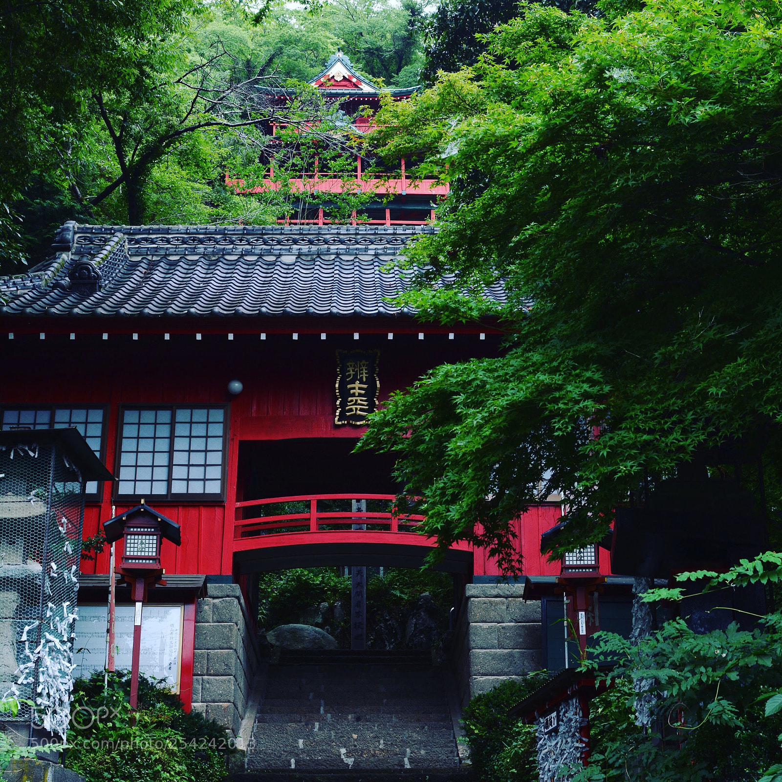 Nikon D7100 sample photo. Benten-sama photography