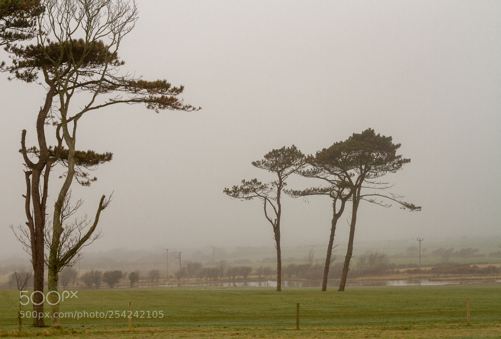 Canon EOS 7D sample photo. Quiet photography