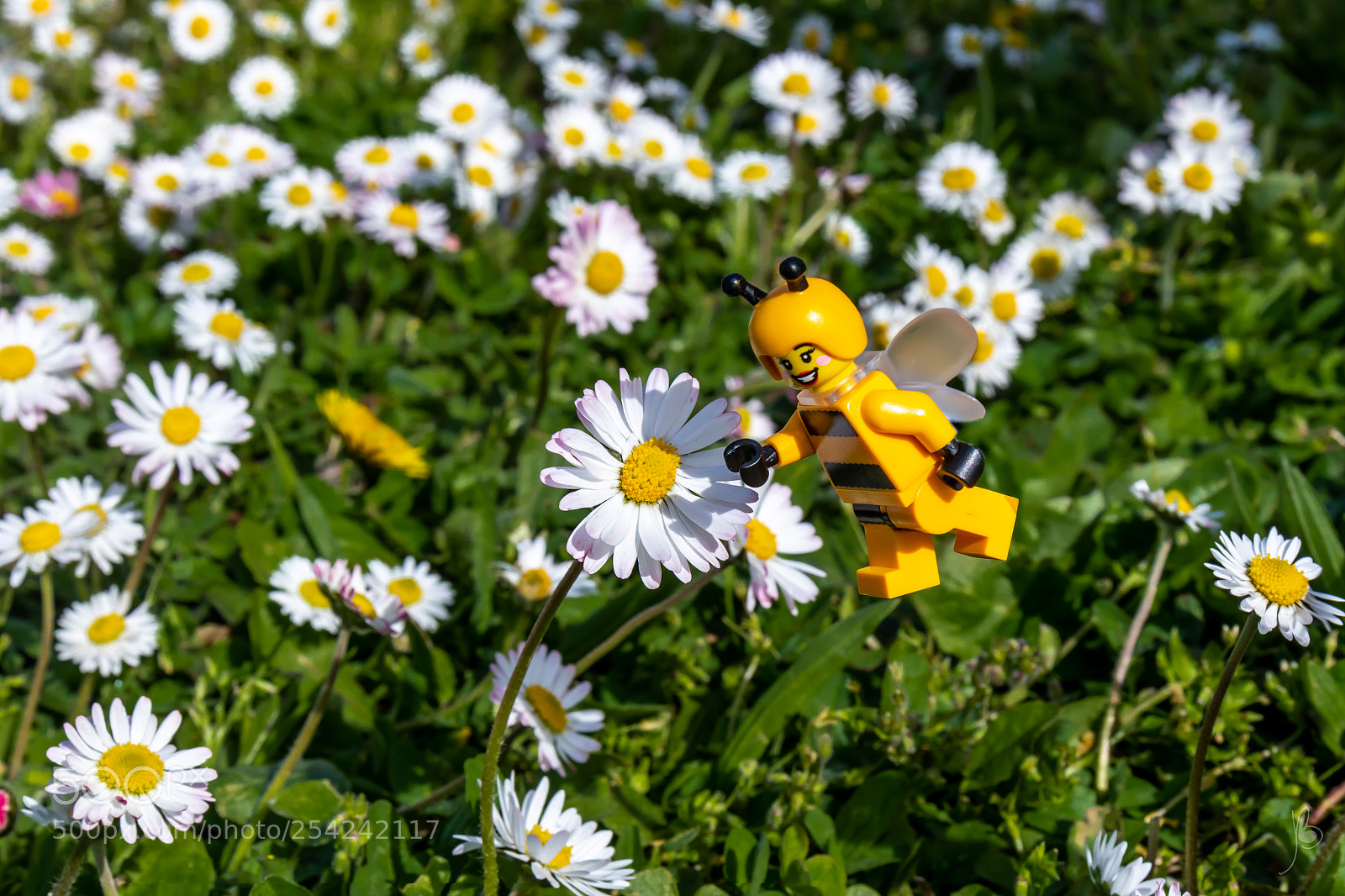 Canon EOS 7D Mark II sample photo. Springtime photography