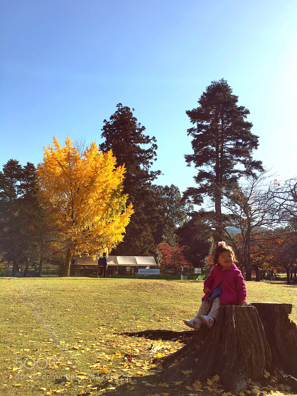 Apple iPhone 6s sample photo. 日本 小姑娘 photography
