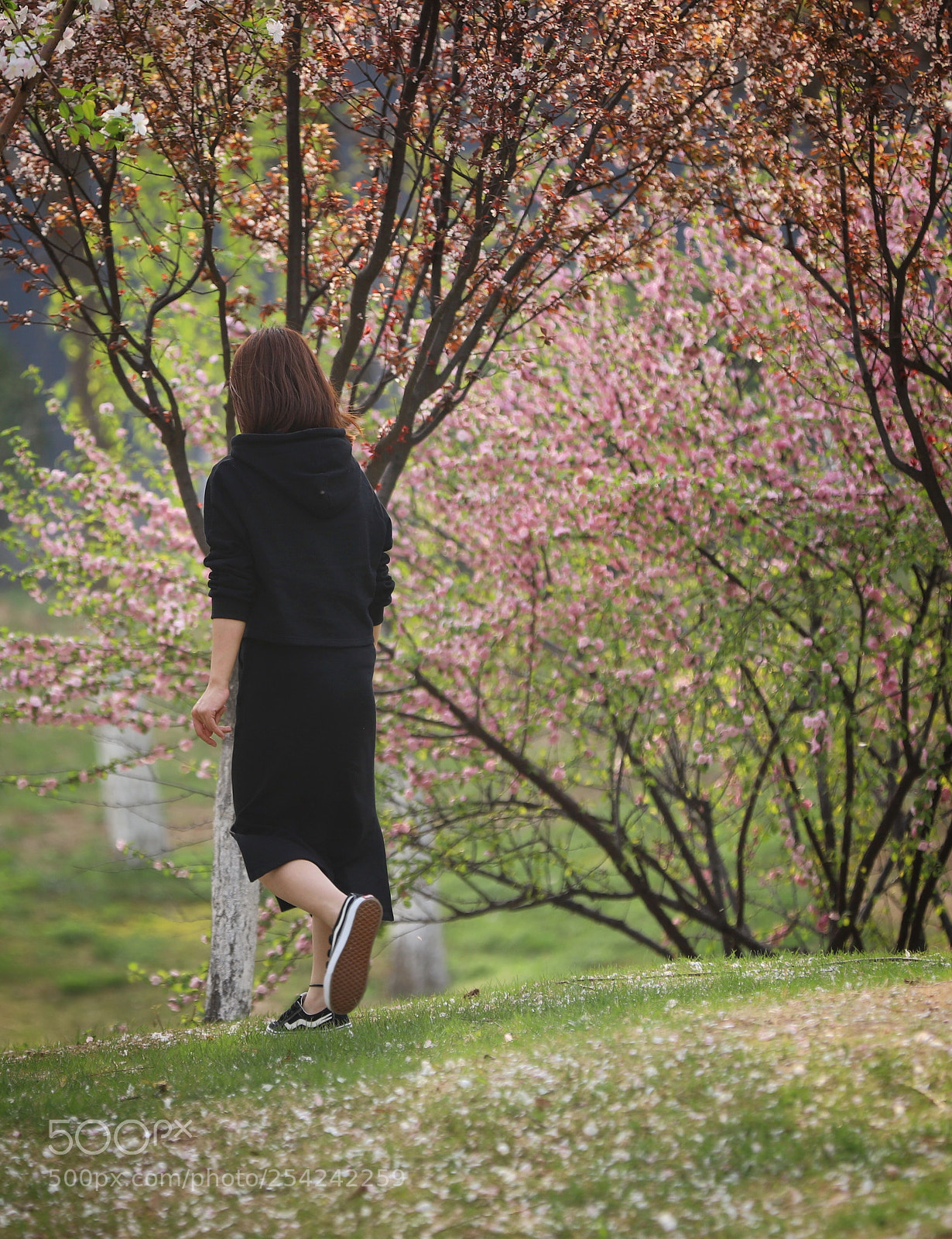 Canon EOS 6D Mark II sample photo. 花界 photography