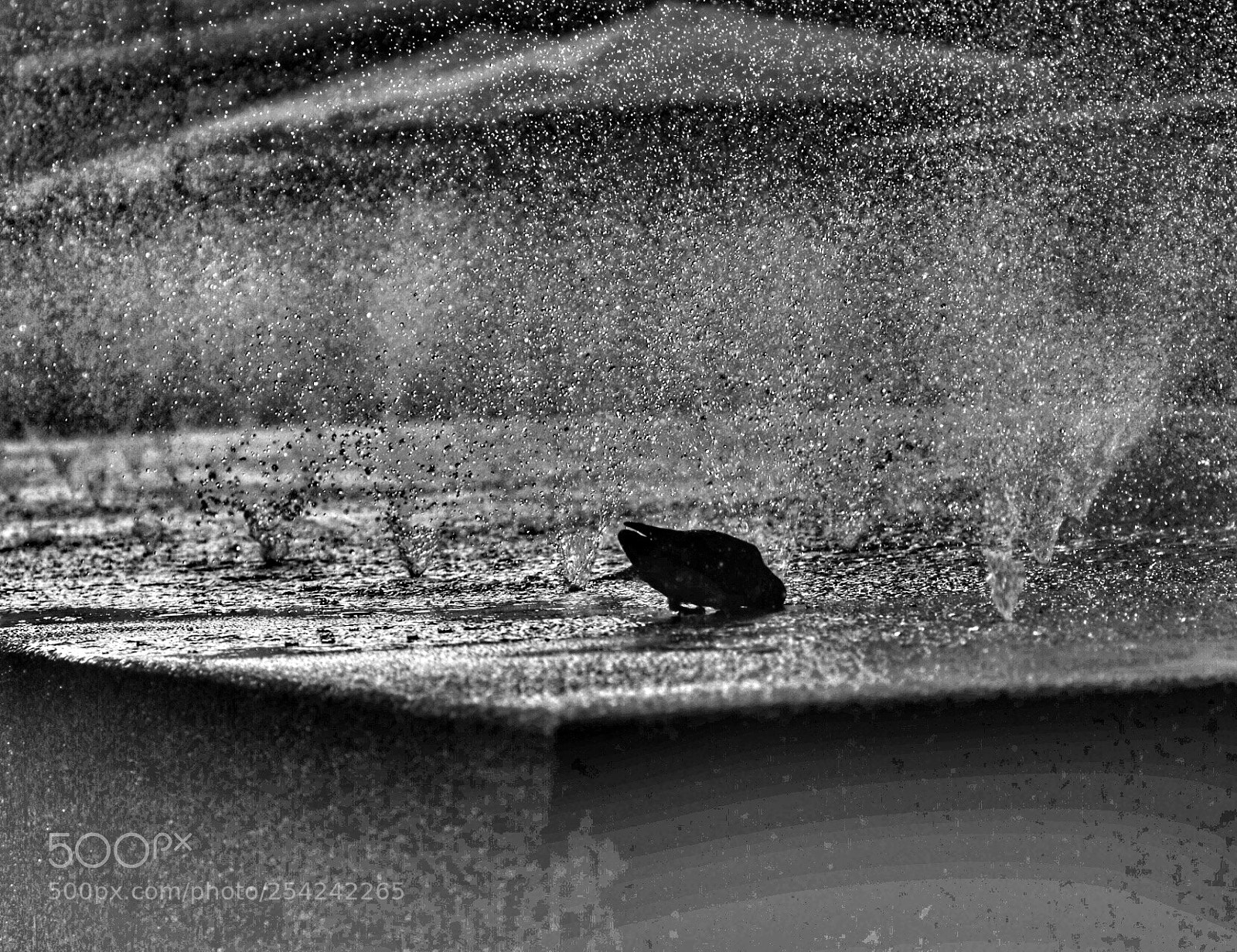 Canon EOS 80D sample photo. Untitled photography