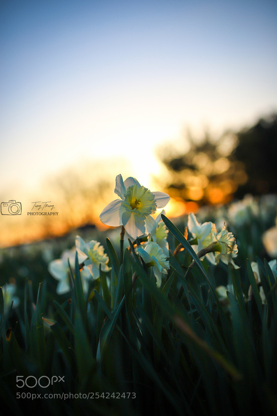 Canon EOS 6D Mark II sample photo. Img_1092-2.jpg photography