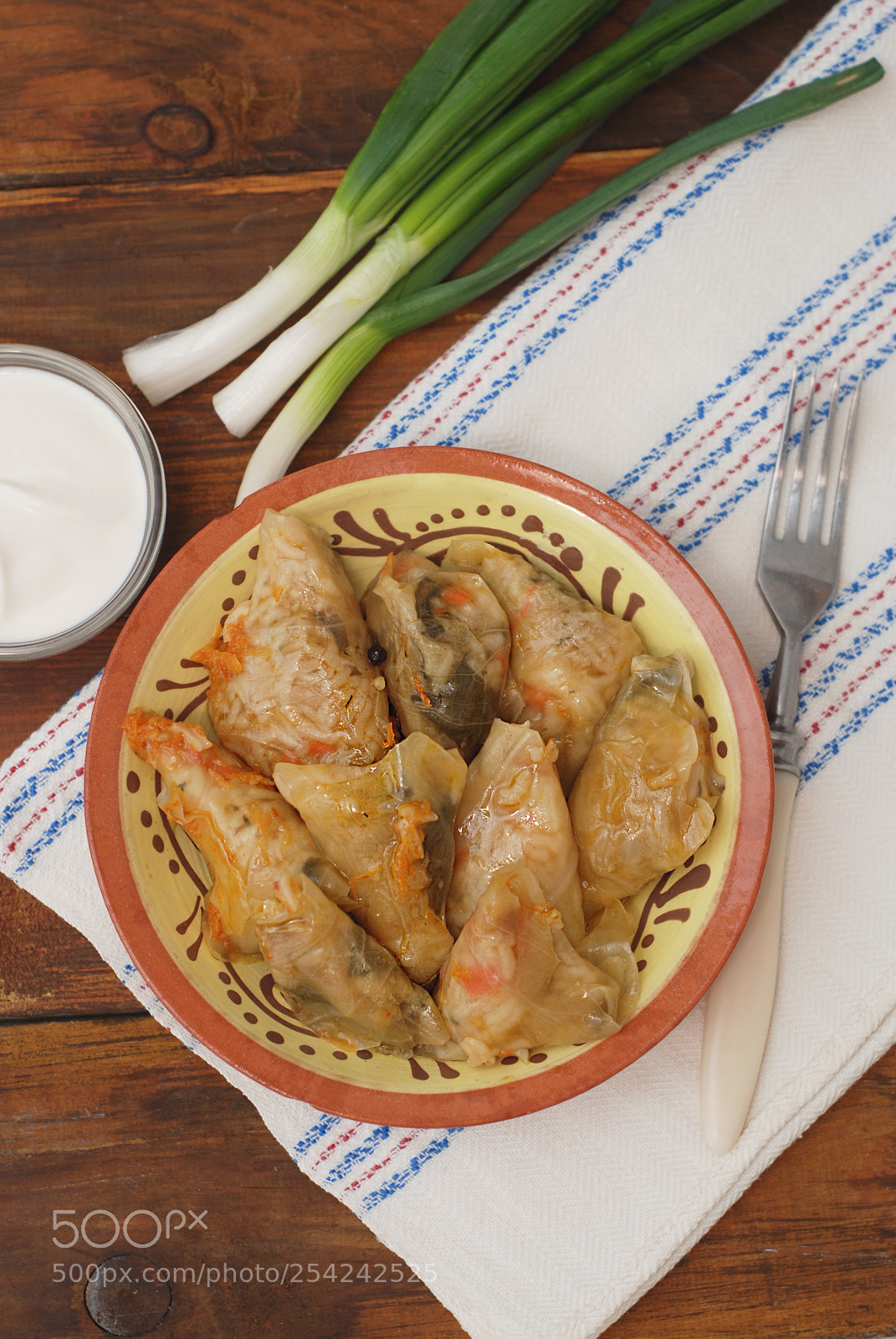 Nikon D80 sample photo. Stuffed rolled cabbage meat photography