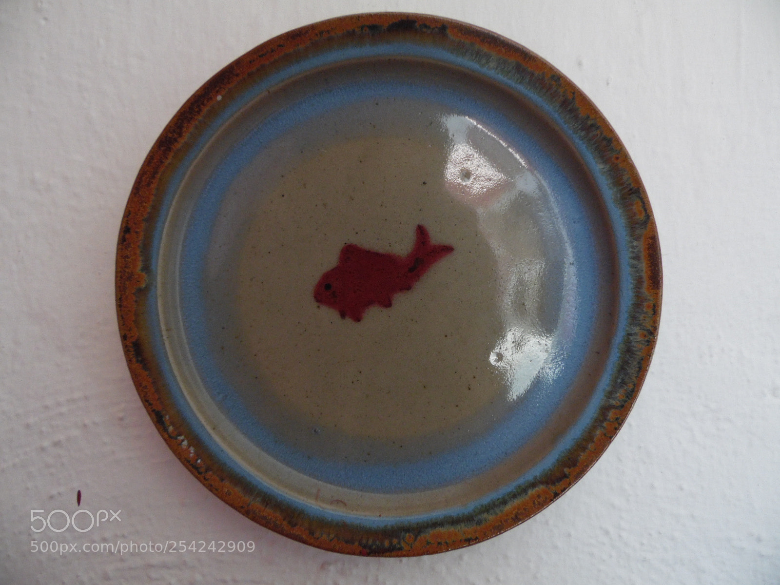 Samsung WB1100F/WB1101F/WB1102F sample photo. Fish artist photography