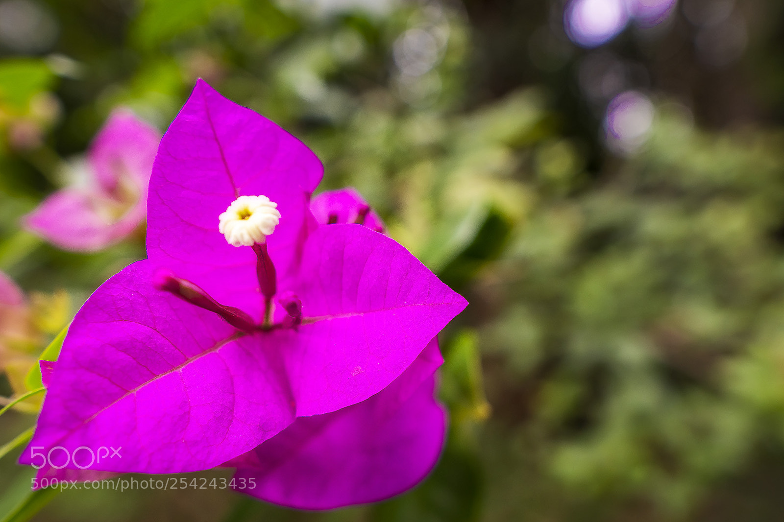 Sony a6000 sample photo. Untitled photography