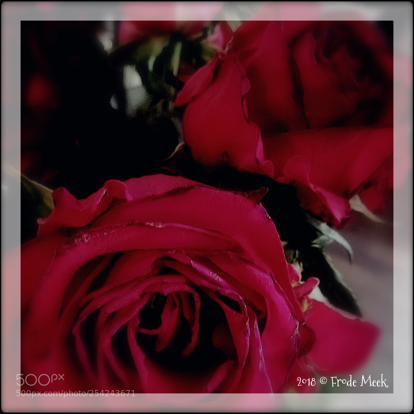 HUAWEI Mate 10 Lite sample photo. Red photography