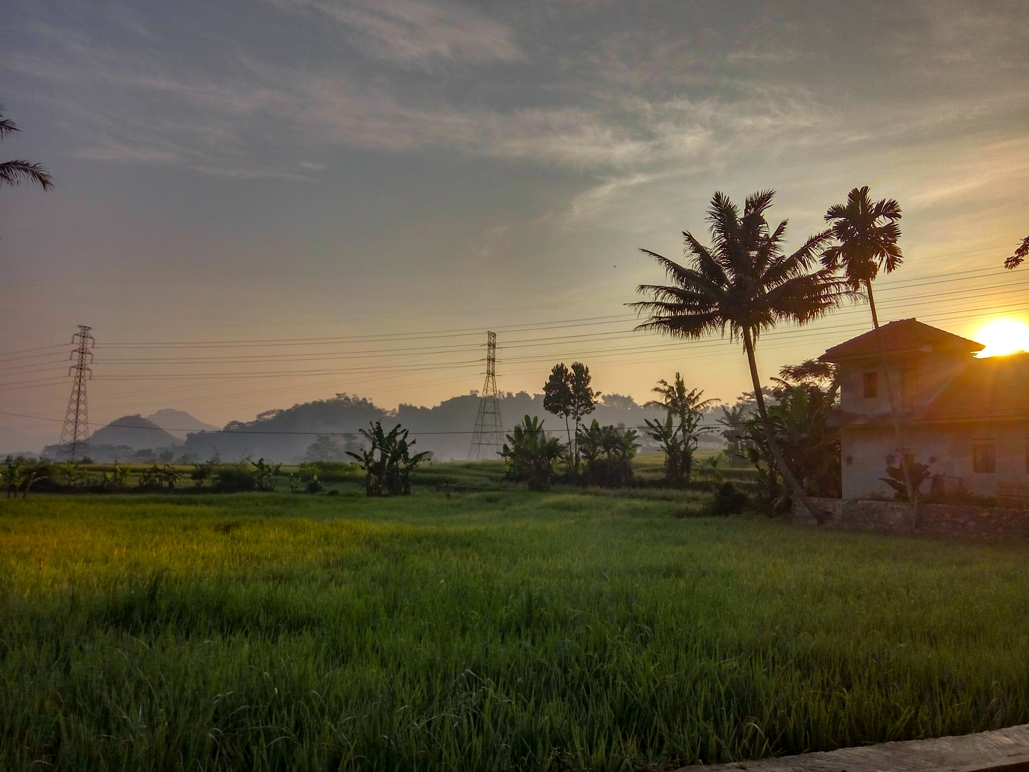 Xiaomi Redmi Note 3 sample photo. Morning photography