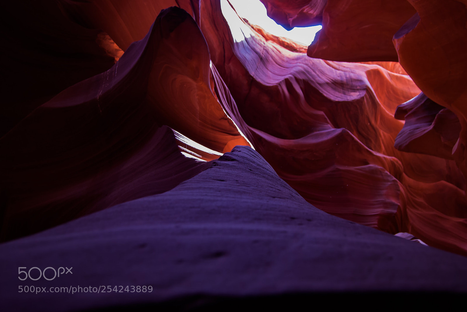 Nikon D60 sample photo. Canyon colors photography