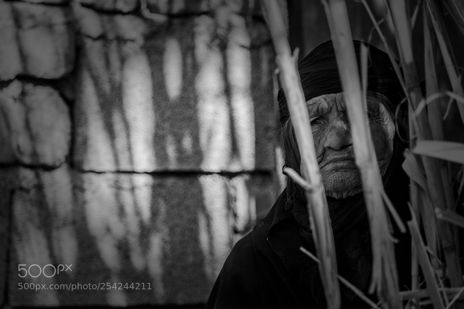 Nikon D7100 sample photo. Women photography