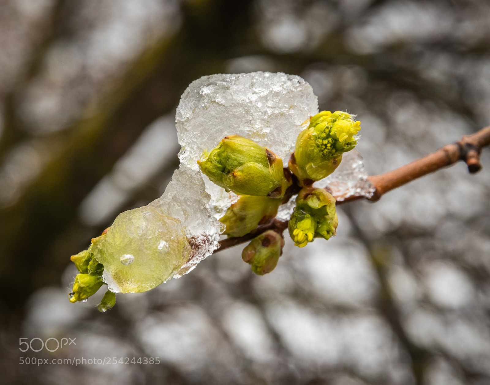 Canon EOS 80D sample photo. Cold april showers photography