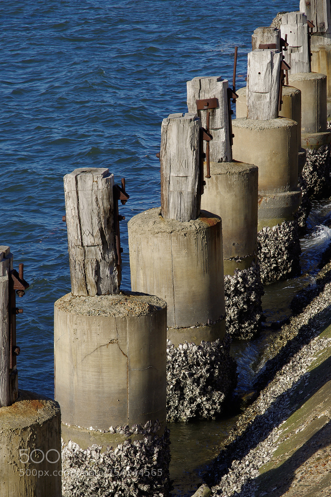Pentax K-5 sample photo. Standing guard photography