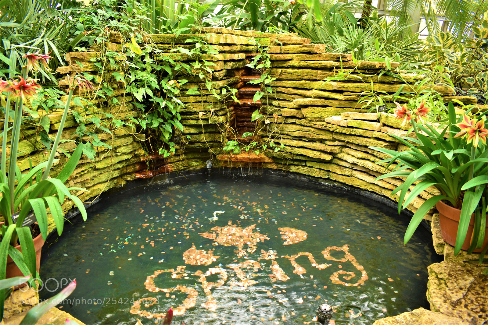 Nikon D5500 sample photo. Garden photography